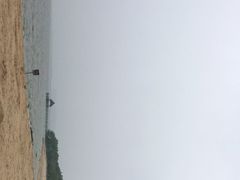 -瑶湖郊野森林公园