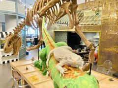 -FAIRYLAND龙族星球主题餐厅(凯丹广场店)