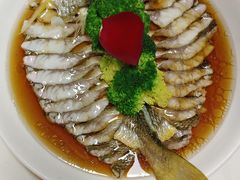 -天鹅到家·保姆月嫂育儿嫂(总店)