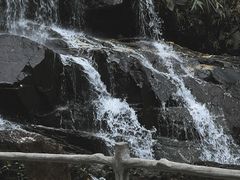 -鼎湖山风景区