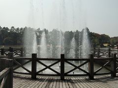 -上海鲜花港