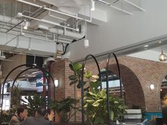 -查特花园美食广场(西单大悦城店)