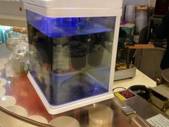 -DF冰淇淋茶饮(缤纷五洲店)