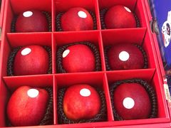 -西郊国际农产品交易中心