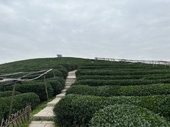 -听风阁农家私房菜茶楼(龙坞店)