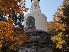 -大觉寺-停车场