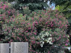 -众彩物流水产市场