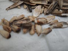 -城隍庙小礼品市场(福佑商厦福佑路店)