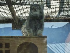 -青藏高原野生动物园