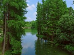 -尚湖风景区