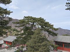 -妙峰山风景名胜区