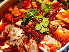 -红辣椒·川菜·火锅(张杨路店)