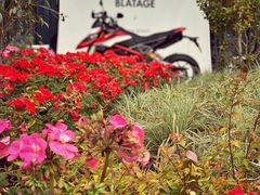 -BLATAGE COFFEE