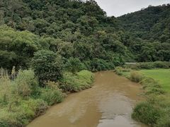 -南宁良凤江国家森林公园