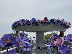 -仙岳公园