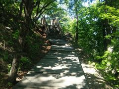 -帽儿山国家森林公园