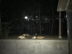 -山东大学(千佛山校区)