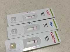 -美联众合宠物医院·爱萌分院·内外科·猫科中心