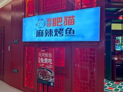 -南锣肥猫·麻辣烤鱼·16年现烤现卖(财富购物中心店)
