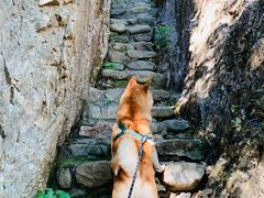 -大连冰峪旅游度假区