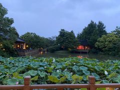 -杭州西子湖四季酒店·金沙厅