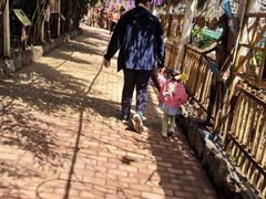 -呀路古热带植物园