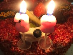 -皇冠幸福里动物奶油生日蛋糕(石桥店)