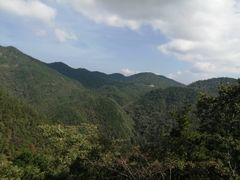 -四明山国家森林公园