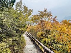 -圣莲山风景区