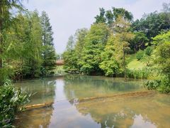 -云溪植物园