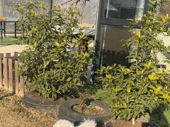 -美家乐农庄·露营·团建(大治路店)