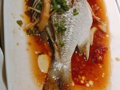 清蒸黄翅鱼-全渔村小海鲜