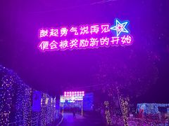 -光明农场大观园