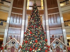 -深圳星河丽思卡尔顿酒店