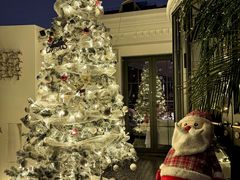 -弦月窗LUNETTE BY AMANDA(复兴路店)