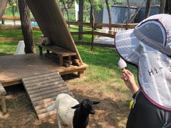 -南戴河国际娱乐中心