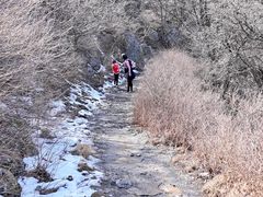 -阳台山自然风景区