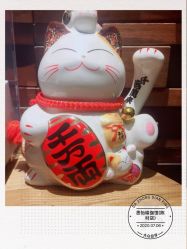 -思怡瑜伽·普拉提·减脂塑形