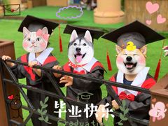 -遇见未来早教·托育中心(玛斯兰德旗舰店)