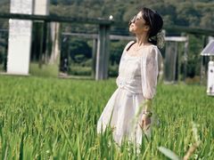-艾米稻香小镇