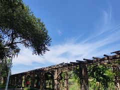 -北京张裕爱斐堡酒庄