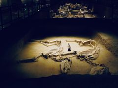 -洛阳周王城天子驾六博物馆