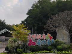 -深圳国际园林花卉博览园