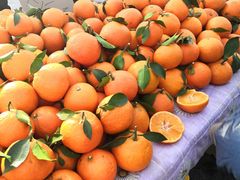 -三旗百汇商品城