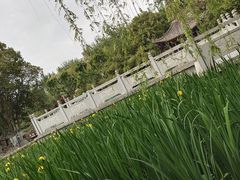 -莲湖公园