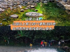 -广州市石门国家森林公园