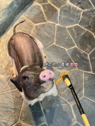 -Zoolung Zoolung动物主题公园(海信广场店)