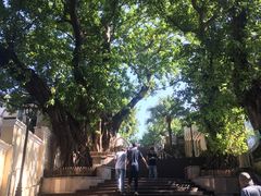 -龙环葡韵住宅式博物馆