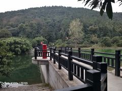 -九龙潭景区