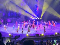 -广州长隆国际大马戏